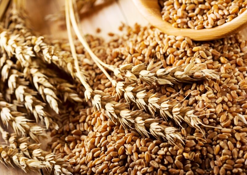 Кардиолог Уильям Дэвис: «Пшеница сегодня — хроническая отрава. Оставь эту булку, дорогая!»