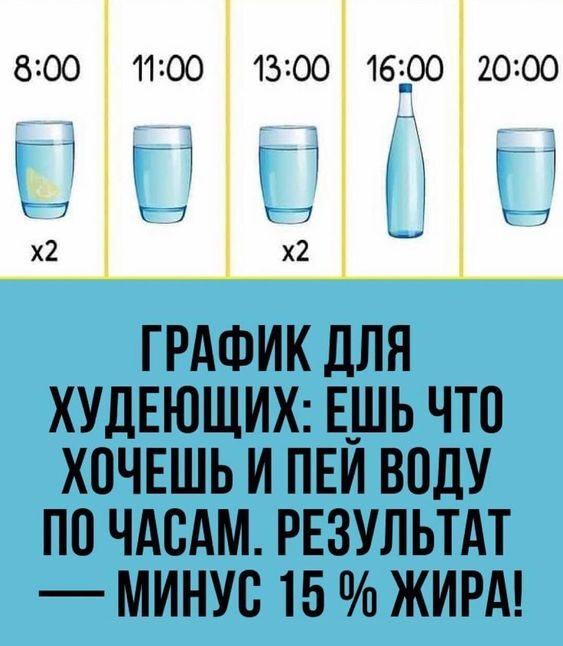 График для худеющих: ешь что хочешь и пей воду по часам. Результат — минус 15 % жира!