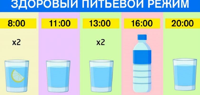 График для худеющих: ешь что хочешь и пей воду по часам. Результат — минус 15 % жира!