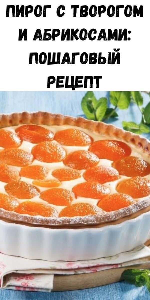 Пирог с творогом и абрикосами: пошаговый рецепт